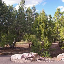 Cedar Springs Campground