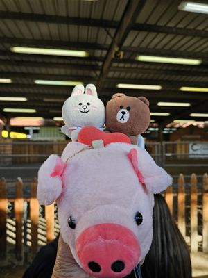 LA County Fair by null