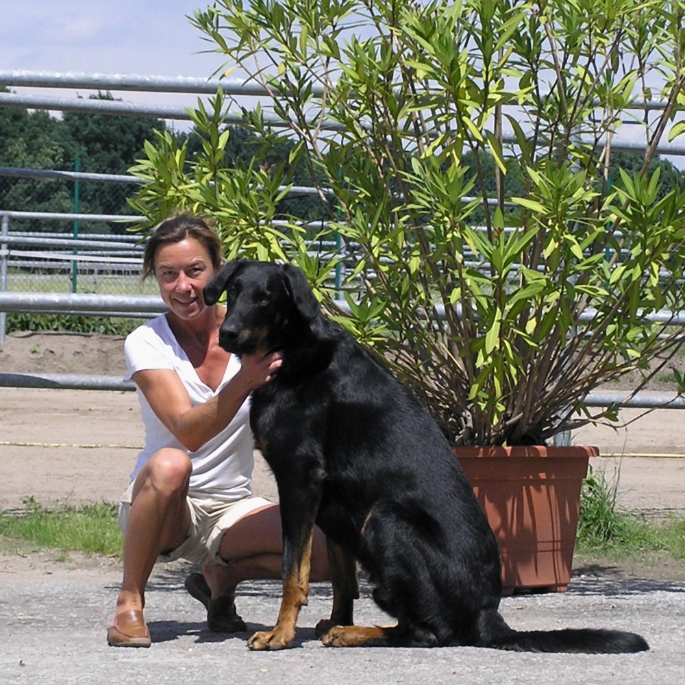 THE BEST 10 Pet Boarding in WIESBADEN, HESSEN, GERMANY - Last Updated  November 2023 - Yelp