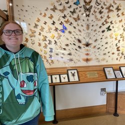 K-State Insect Zoo - Fascinating artistic displays