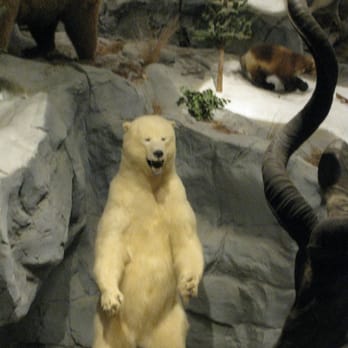 Cabela’s  - Outdoor Gear Near Me - Hoffman Estates, Illinois