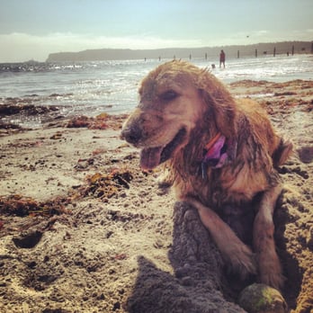Coronado Dog Beach - Beaches Near Me - Coronado, California Coronado Dog Beach - Beaches Near Me - Coronado, California