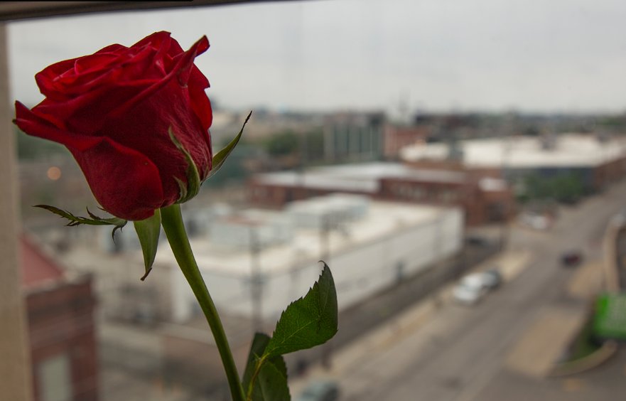 SunCloud Health - grief counselor in Chicago, IL