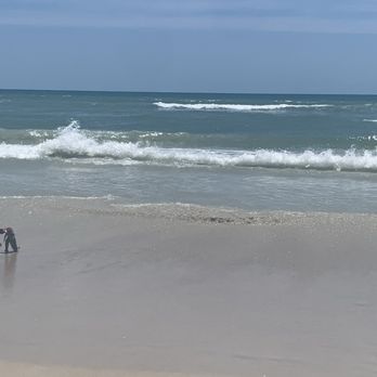 Playalinda Beach - Flat walking sand - Beaches Near Me - Titusville, Florida