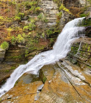 Robert H. Treman State Park by null
