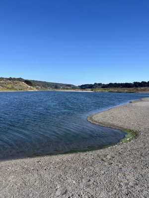 Gualala Point Regional Park by null