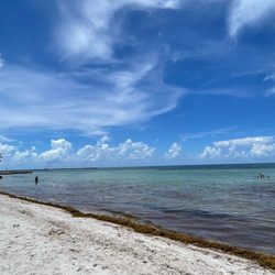 Higgs Beach - Lots of Sargasso