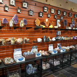Tyrannostorus - Crystals, geodes, minerals, and more available for sale