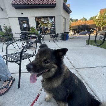 SmallPie - Dog friendly outdoor patio. - Cafes Near Me - Milwaukee, Wisconsin SmallPie - Dog friendly outdoor patio. - Cafes Near Me - Milwaukee, Wisconsin