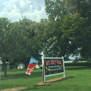 DJ's Berry Patch - Frontage - Do-It-Yourself Food Near Me - Apex, North Carolina