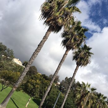 Rancho San Clemente Park - Park Palm Sky - Parks Near Me - San Clemente, California Rancho San Clemente Park - Park Palm Sky - Parks Near Me - San Clemente, California