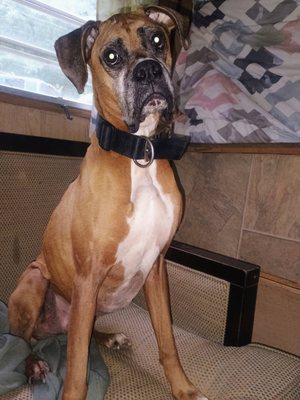 B&R Excavation And Home Repairs