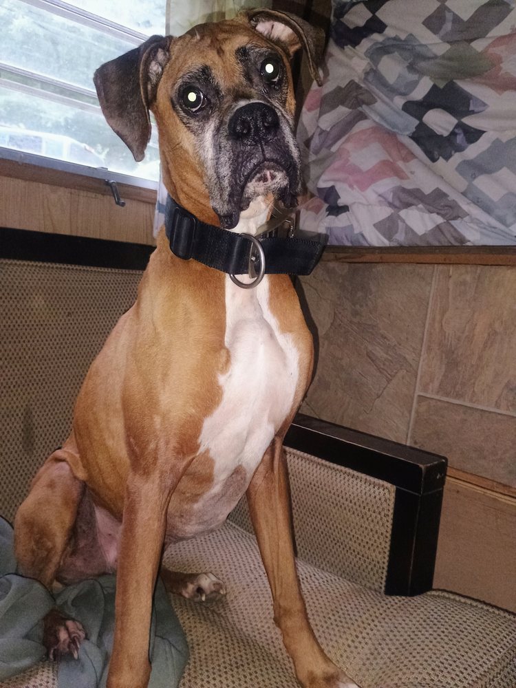 Slide of B&R Excavation And Home Repairs