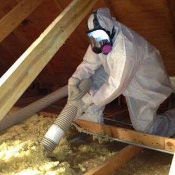 Structural Home Repairs - Pest Control Near Me