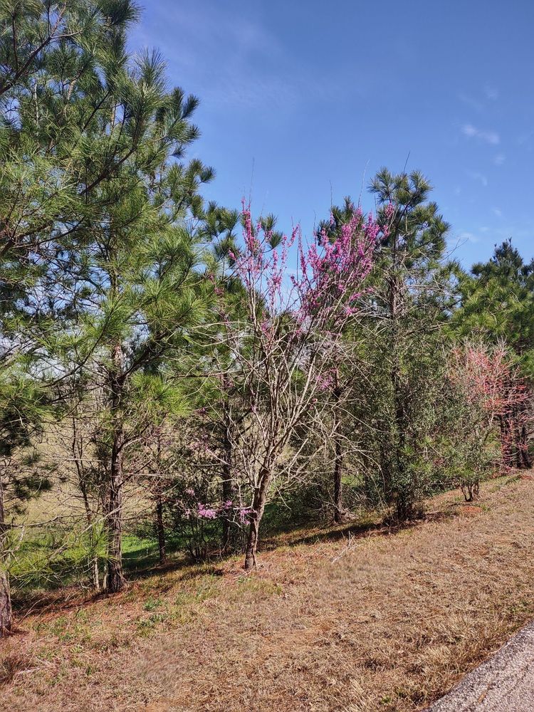 DIXIE FARM ROAD PARK 34 Photos Blackhawk Blvd & Dixie Farm Rd