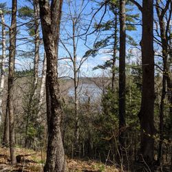 Annie Sturgis Sanctuary