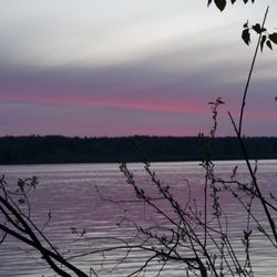 Sammamish Landing - Lovely pink streaks across the sky around sunset time!