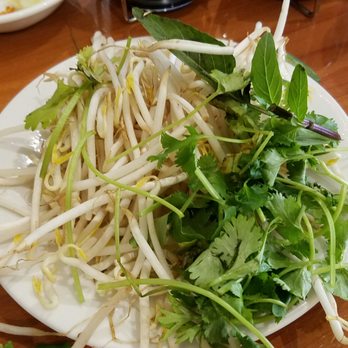Ha Long Bay - Bean sprouts are brown and seems to be days old. - Vietnamese Near Me - Tucson, Arizona