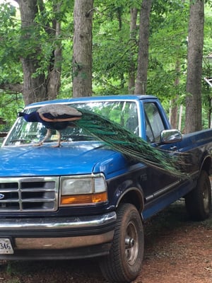 Caromont Farm by null