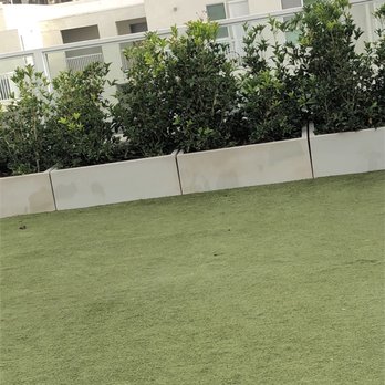 G12 - Everyday dog filth would be everywhere - Apartments Near Me - Los Angeles, California