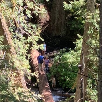 Proxy Falls - Hiking Near Me - Rainbow, Oregon