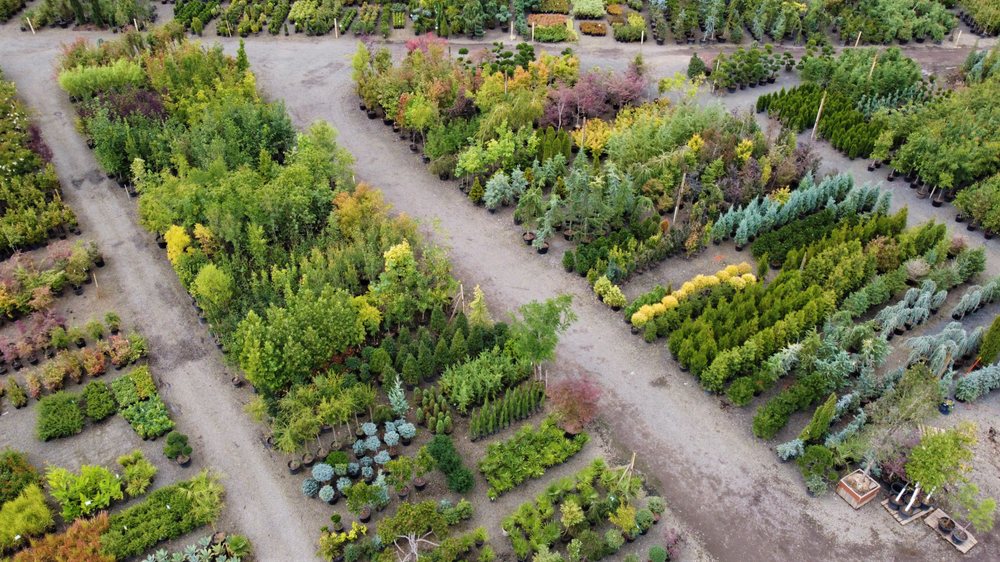 THE NURSERY OUTLET Updated August 2024 53 Photos 17126 Edwin Rd