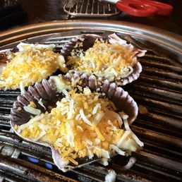 Cheese Scallops