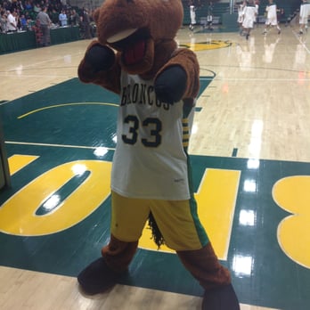 Cal Poly Pomona - Photo taken 2/20/2015 - The Bronco Mascot - Colleges & Universities Near Me - Pomona, California Cal Poly Pomona - Photo taken 2/20/2015 - The Bronco Mascot - Colleges & Universities Near Me - Pomona, California