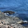Photo of Cliff House