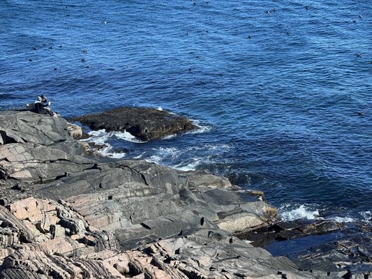 Cliff House Maine by null