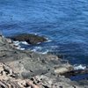 Cliff House gift card