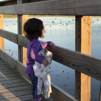 Cattail Marsh - A great place for families! So much to see. - Hiking Near Me - Beaumont, Texas