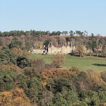 Ashdown Forest - Beautiful scenery with the hotel in the background - Parks Near Me - Wych Cross, ESX