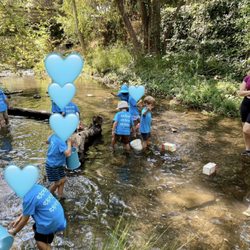 Explorer Preschool - A fantastic day in the creek at Vasona Park!
