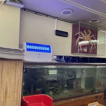 Pacific Fish Center & Restaurant - The fish tank - Seafood Near Me - Redondo Beach, California