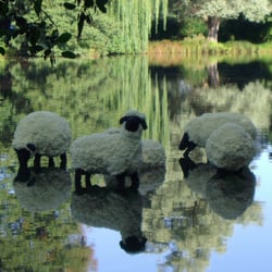 Gartenfestival - das sind die Bauschaumschafe