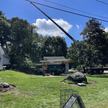 Zumalt Tree Experts - Tree Crane - Tree Services Near Me - Attleboro, Massachusetts