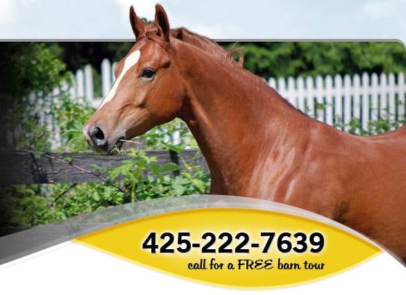 Deerfield Farm - equestrian in Issaquah, WA