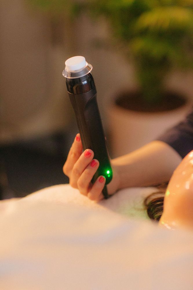 Elysian Rose Aesthetics & Wellness Studio Logo