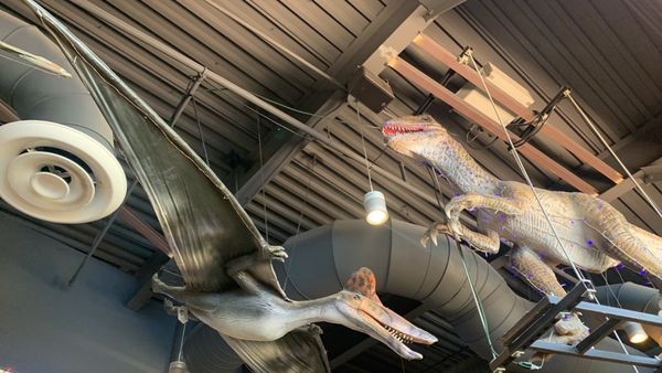 Pangaea Dinosaur Grill by null