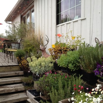 Tweets - O - Cafes Near Me - Edison, Washington