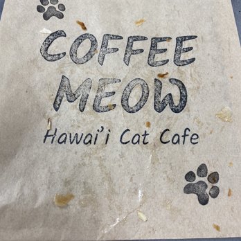 Hawai'i Cat Café - Pastry bag - Pet Adoption Near Me - Honolulu, Hawaii Hawai'i Cat Café - Pastry bag - Pet Adoption Near Me - Honolulu, Hawaii