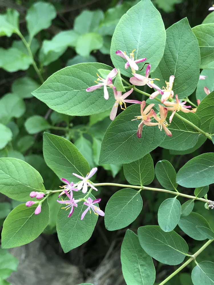 SCHODACK ISLAND STATE PARK 39 Photos 1 Schodack Island Way