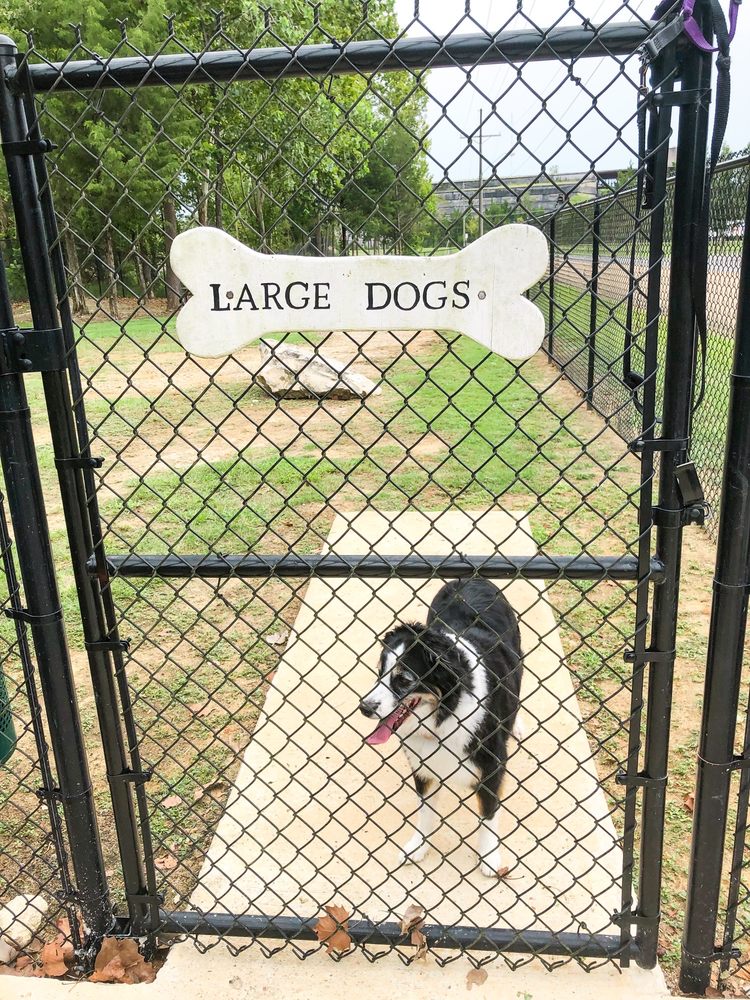 PAVILION DOG PARK Updated September 2024 Boyce Thompson Dr, Brandon