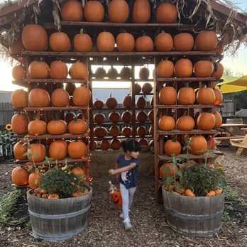 Sons Farm Fresh - Fruits & Veggies Near Me - Oakdale, California Sons Farm Fresh - Fruits & Veggies Near Me - Oakdale, California