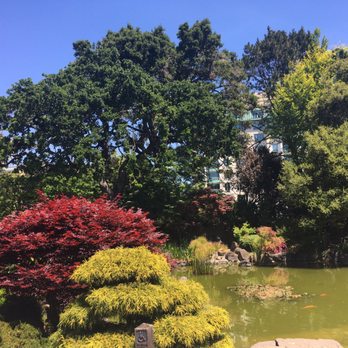 Central Park - Japanese garden koi pond - Parks Near Me - San Mateo, California