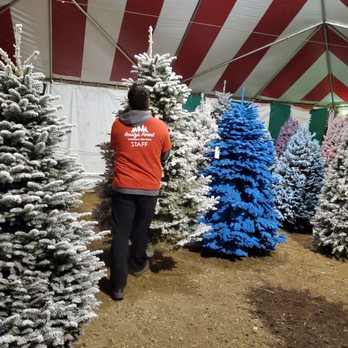 Frosty's Forest - Christmas Trees Near Me - Chino, California