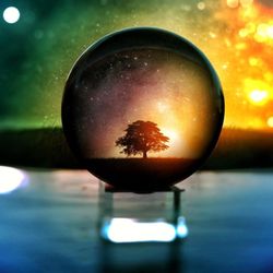 Psychic Spells by Miss Adams