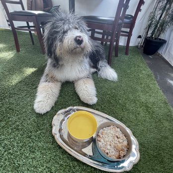 Morrison - Burbank - No restaurants service tops this dog loving restaurant. Chicken and rice - Gastropubs Near Me - Burbank, California