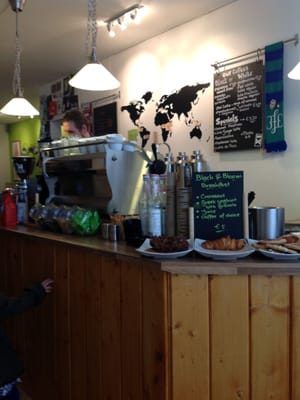 Black & Bloom by null